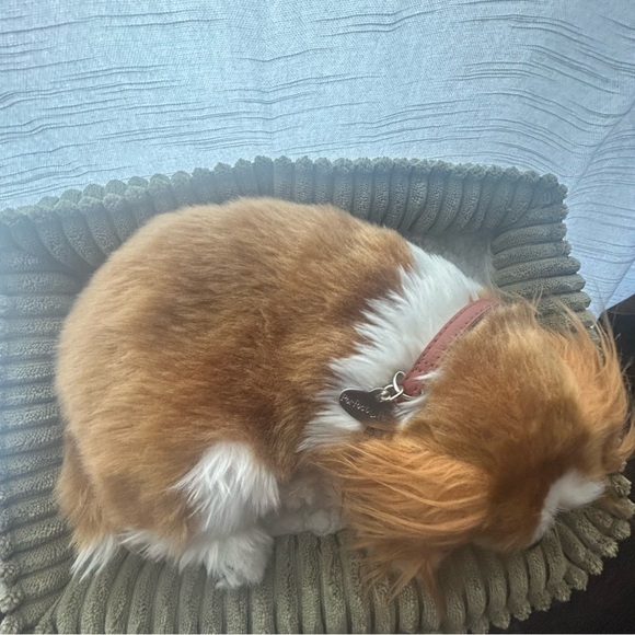 Perfect petzzz cavalier Spaniel realistic sleeping dog . - Picture 4 of 8
